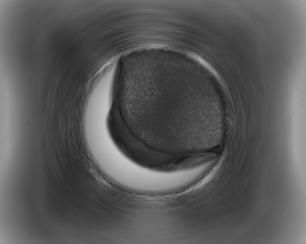 X0000084050969200703092049