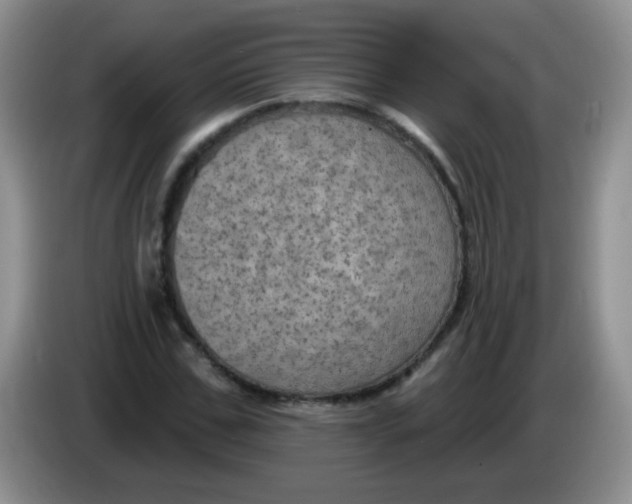 X0000084050971200703092049