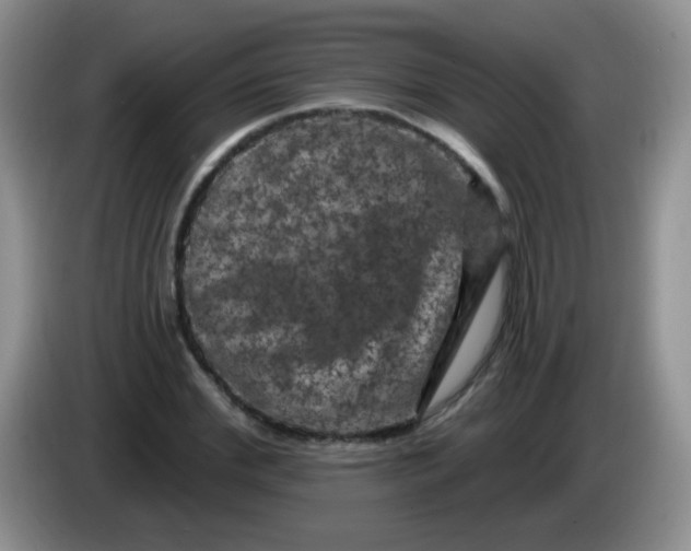 X0000084050972200703092049