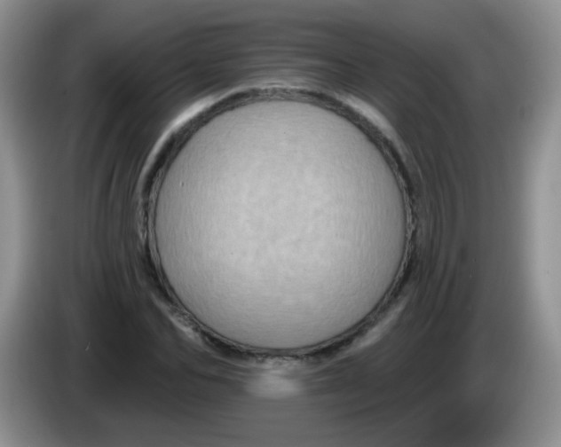 X0000084050974200703092049