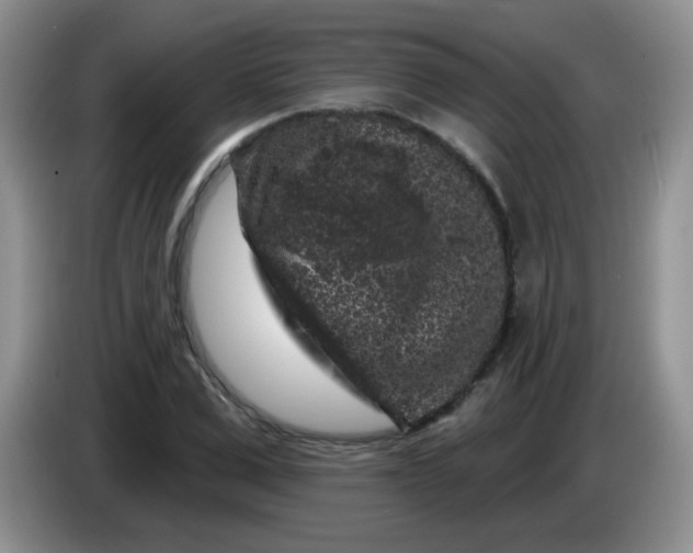 X0000084050975200703092049