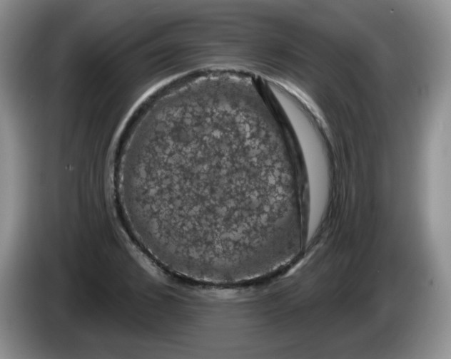 X0000084050976200703092049