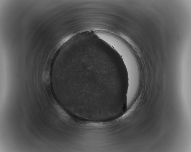 X0000084050977200703092049