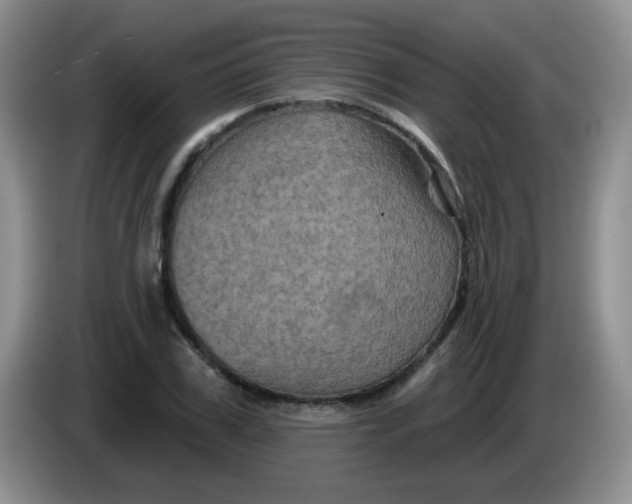 X0000084050979200703092049