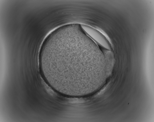 X0000084050980200703092049