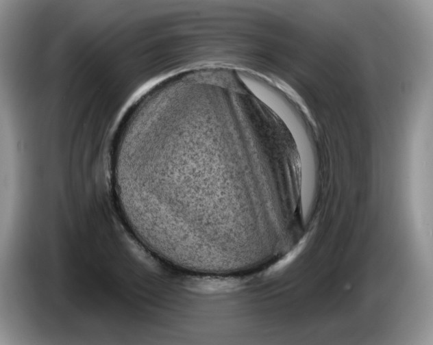 X0000084050981200703092049