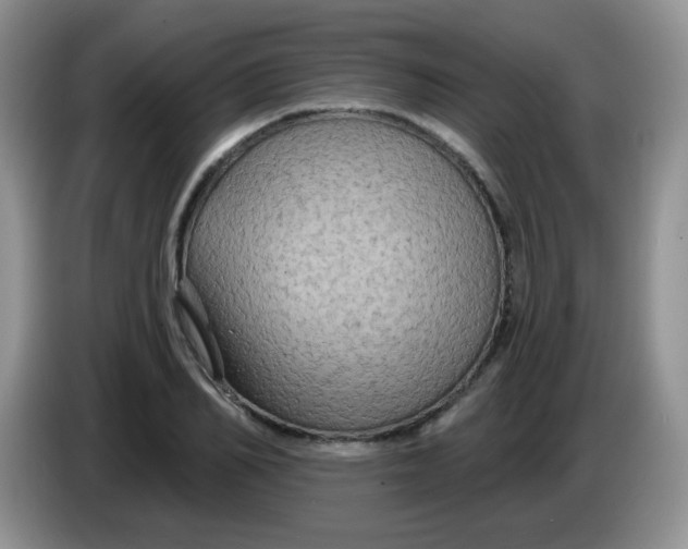 X0000084050982200703092049