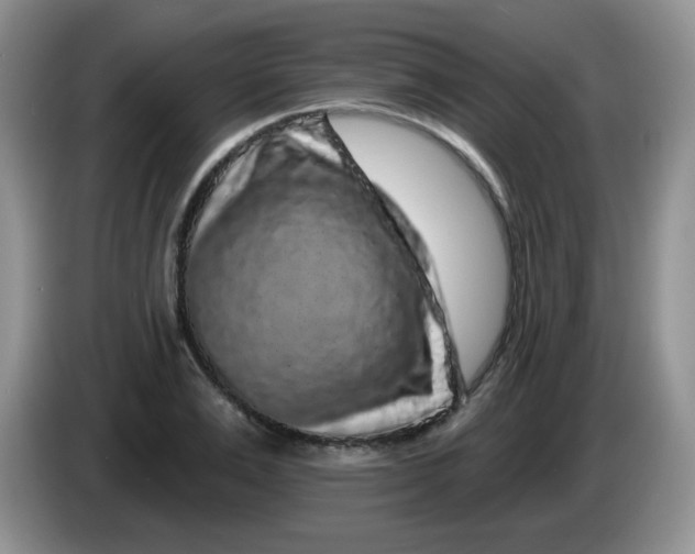 X0000084050983200703092049