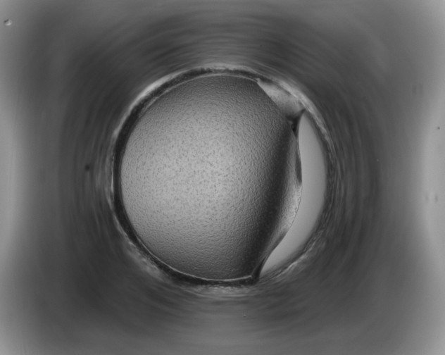 X0000084050984200703092049