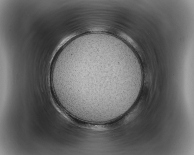 X0000084050986200703092049