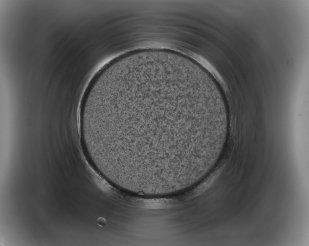 X0000084050988200703092049