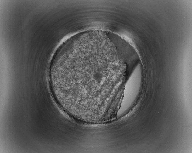 X0000084050989200703092049