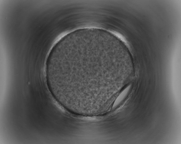 X0000084050990200703092049