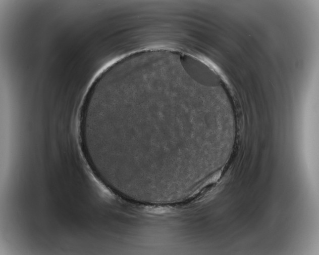 X0000084050991200703092049