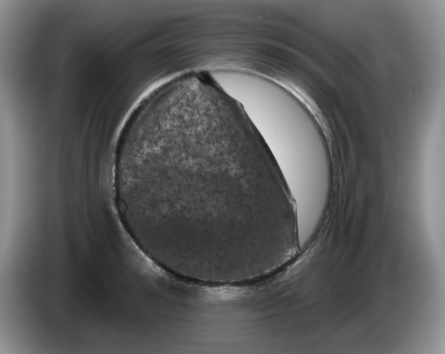 X0000084050992200703092049