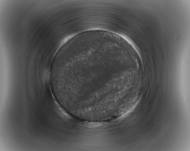 X0000084050993200703092048