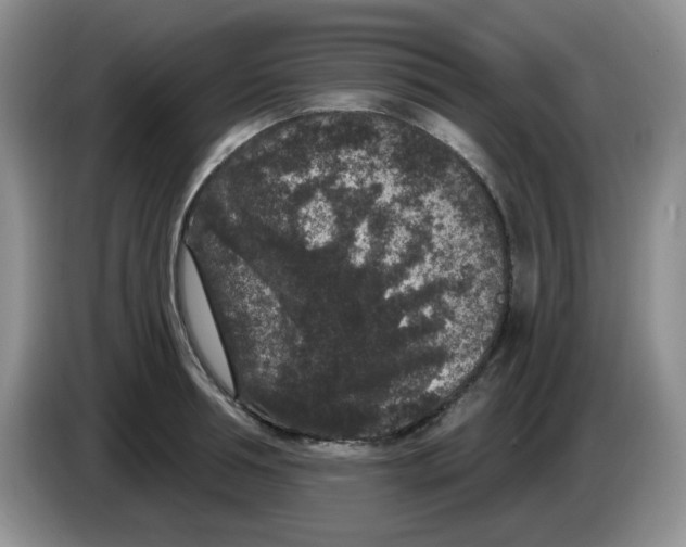 X0000084050994200703092048