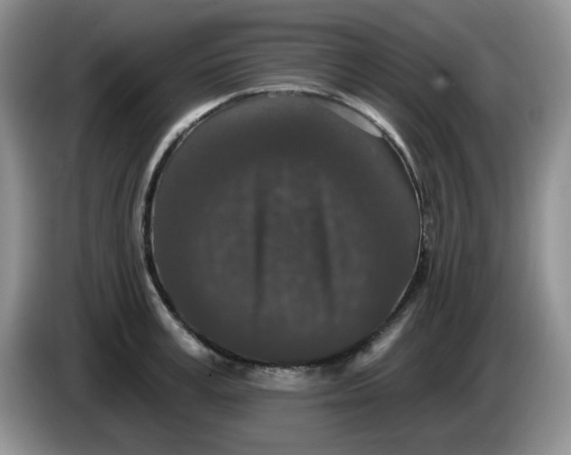 X0000084050995200703092048