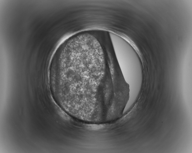 X0000084050996200703092048