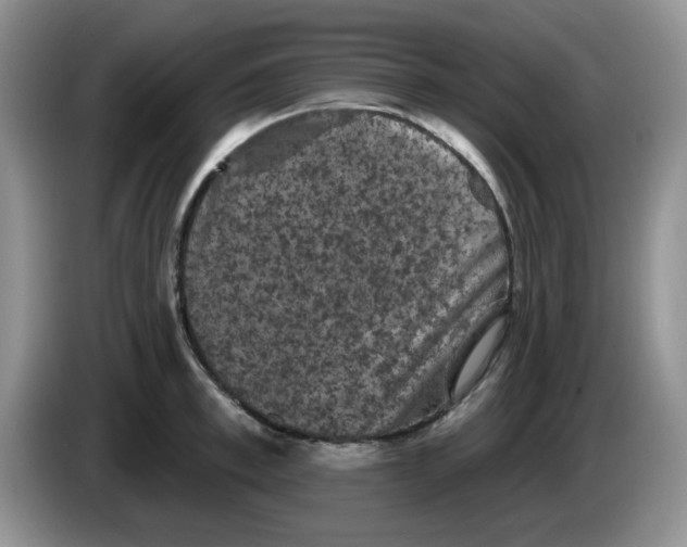 X0000084050997200703092048