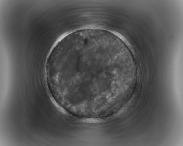 X0000084050998200703092048