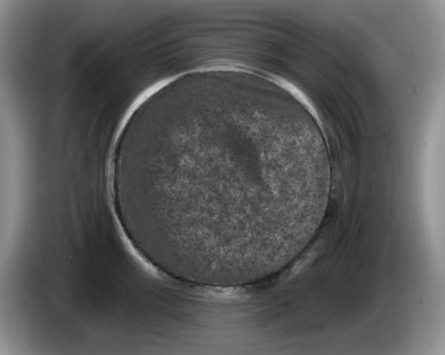 X0000084051003200703092048