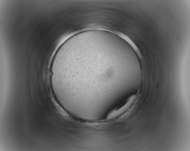 X0000084051004200703092048