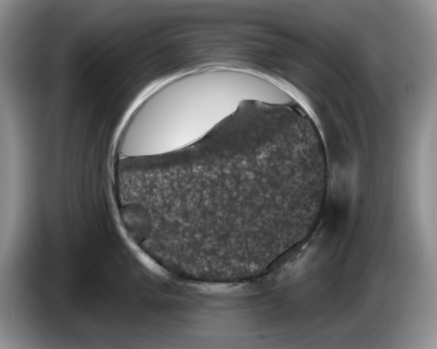 X0000084051005200703092048