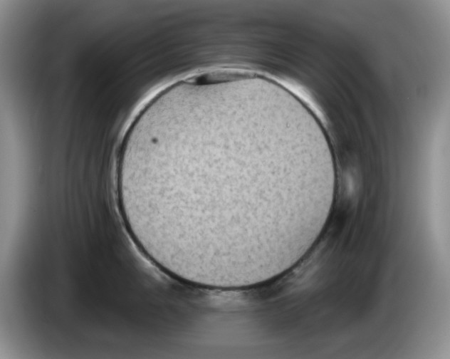 X0000084051006200703092048