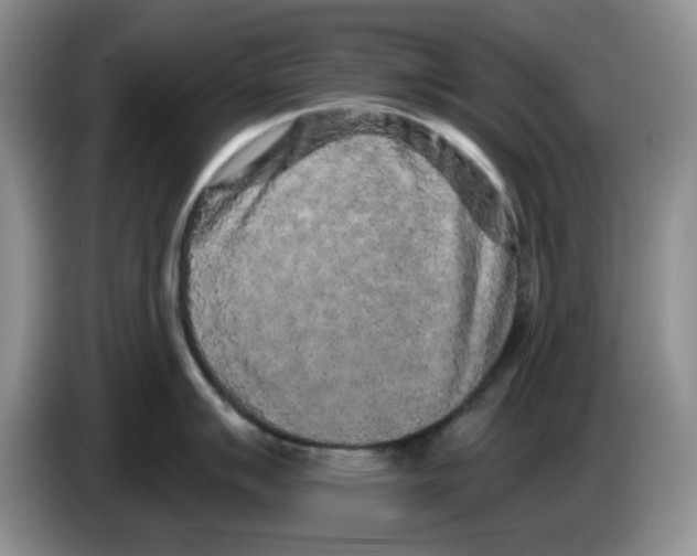 X0000084051007200703092048