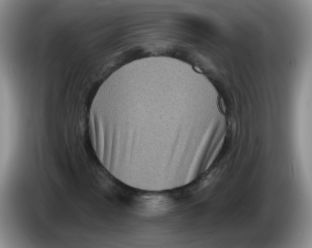 X0000084051012200703092048