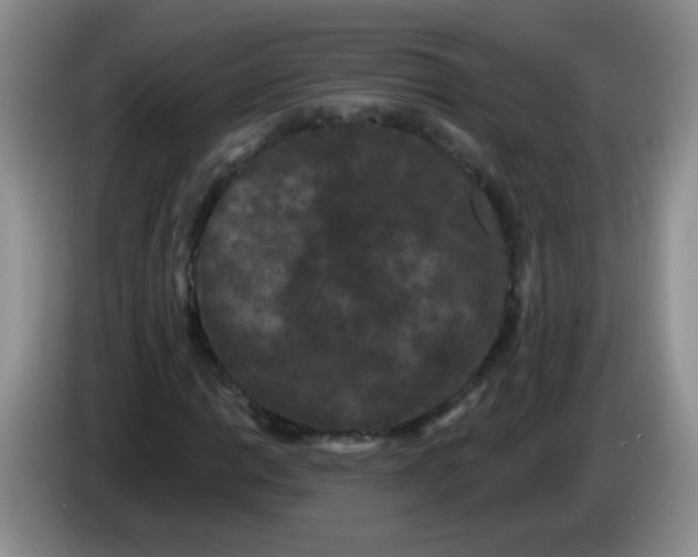 X0000084051014200703092048