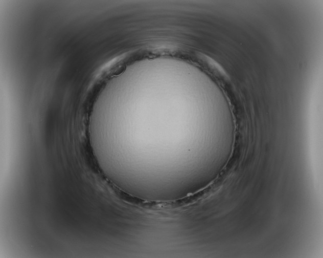 X0000084051016200703092048