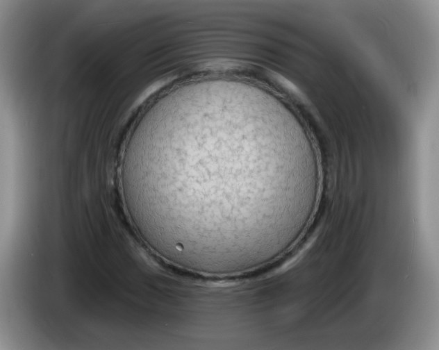 X0000084051017200703092048