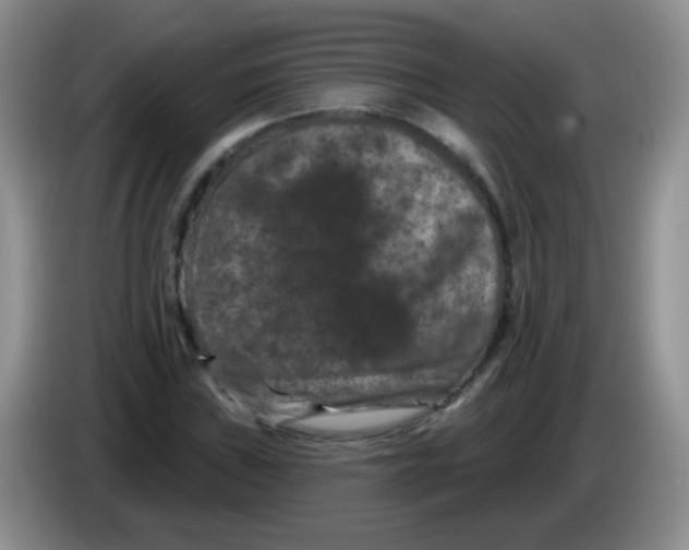 X0000084051019200703092048