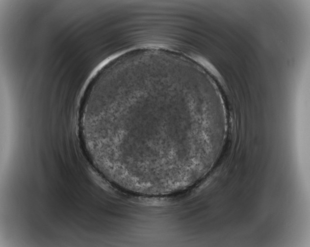 X0000084051020200703092048