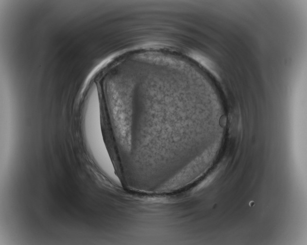 X0000084051021200703092048