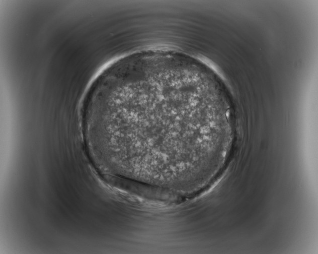 X0000084051022200703092048