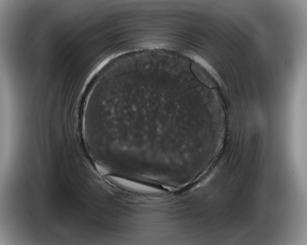 X0000084051023200703092048