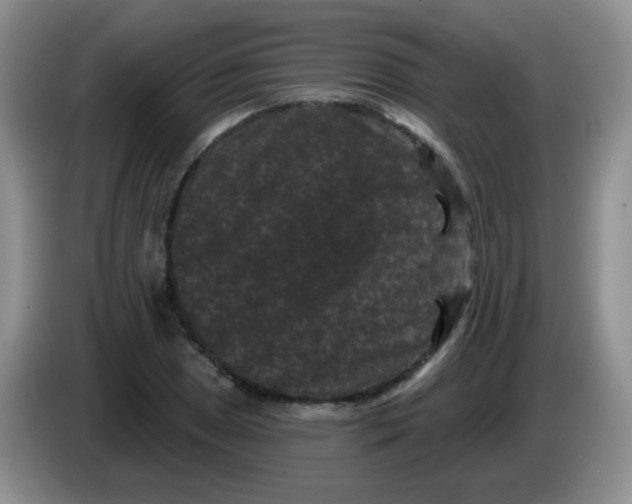 X0000084051025200703092048