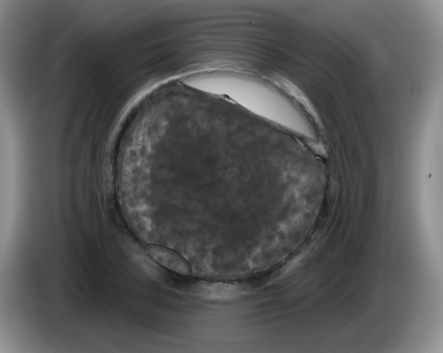 X0000084051027200703092048