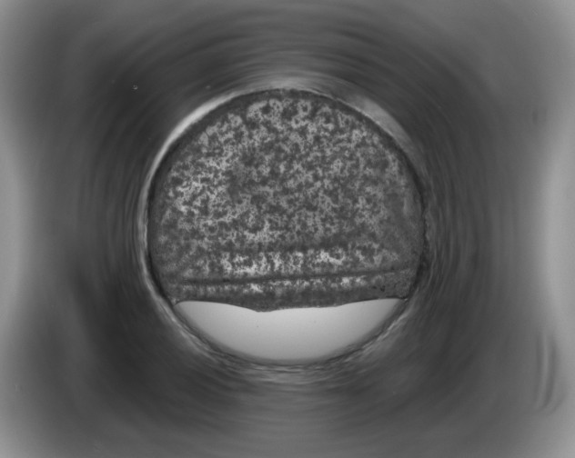 X0000084051028200703092048