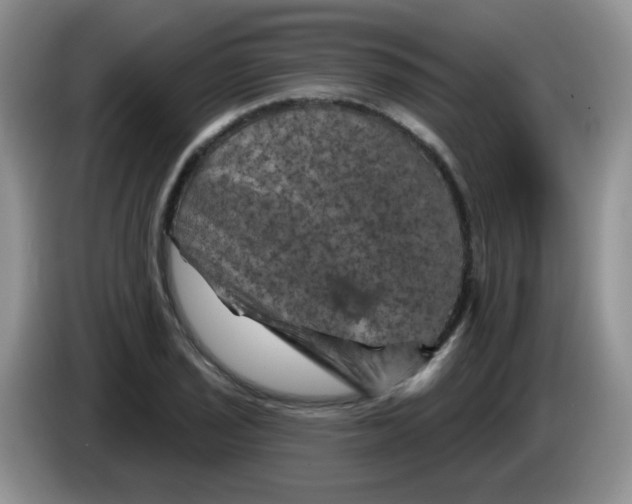 X0000084051029200703092048