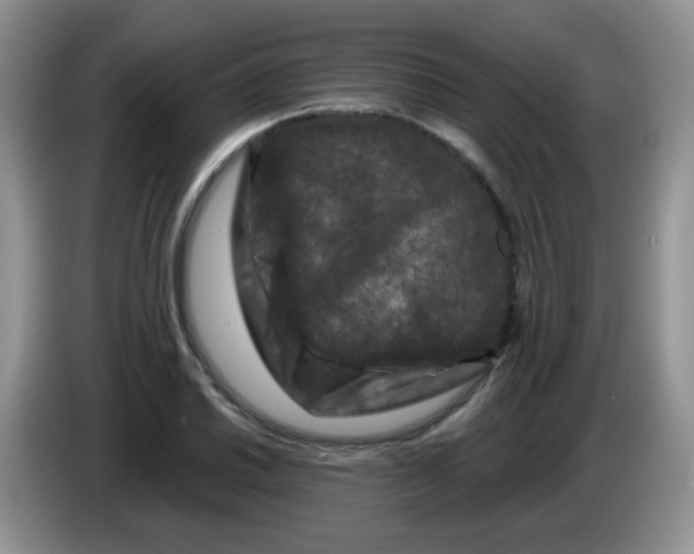 X0000084051030200703092048