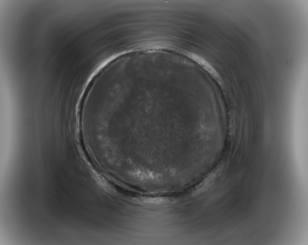 X0000084051031200703092048