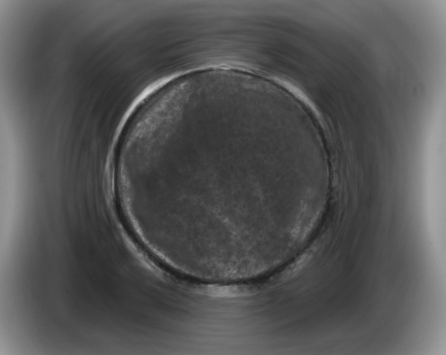 X0000084051032200703092048