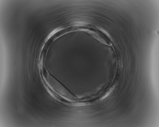 X0000084051034200703092048