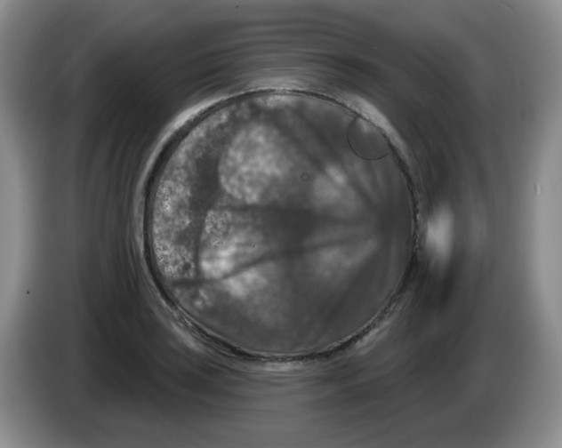 X0000084051035200703092048