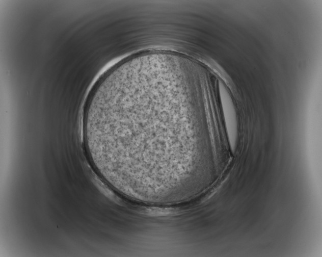 X0000084051036200703092048