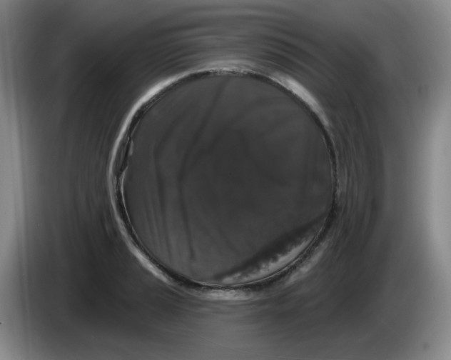 X0000084051037200703092048